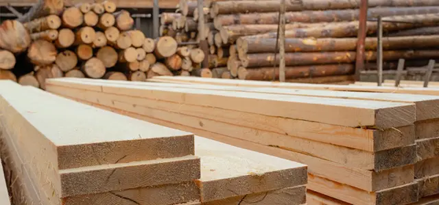 Wood & Biomass Processors