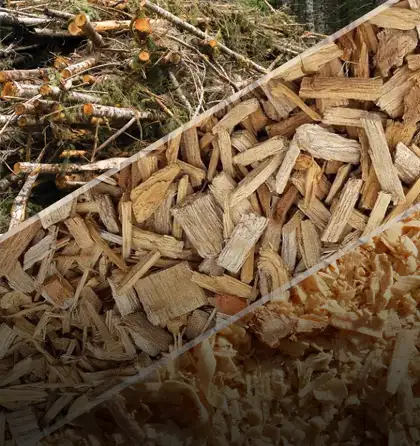 Woody Biomass for Small Charcoal Machine