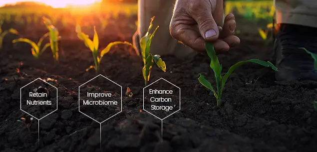 Biochar Application in Soil