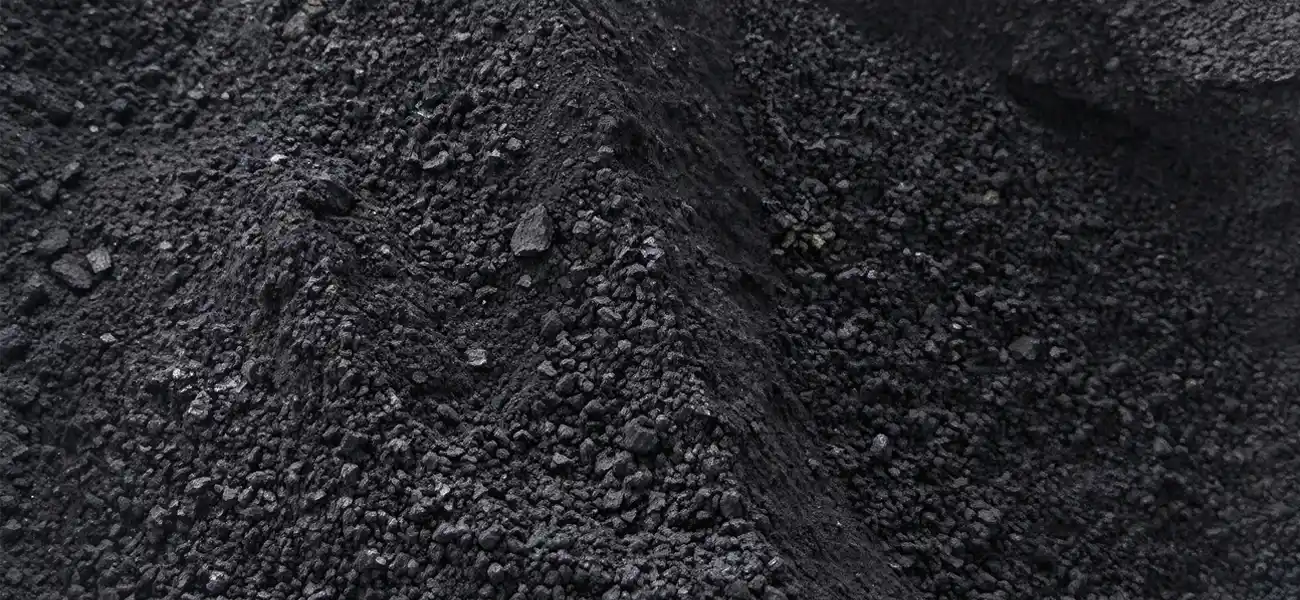 Biochar Produced from Sewage Sludge Pyrolysis