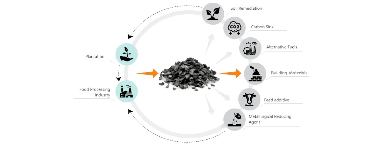 Circular Application of Coconut Shell Biochar Charcoal