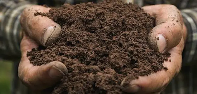 Clean Soil from Oil Sludge Pyrolysis