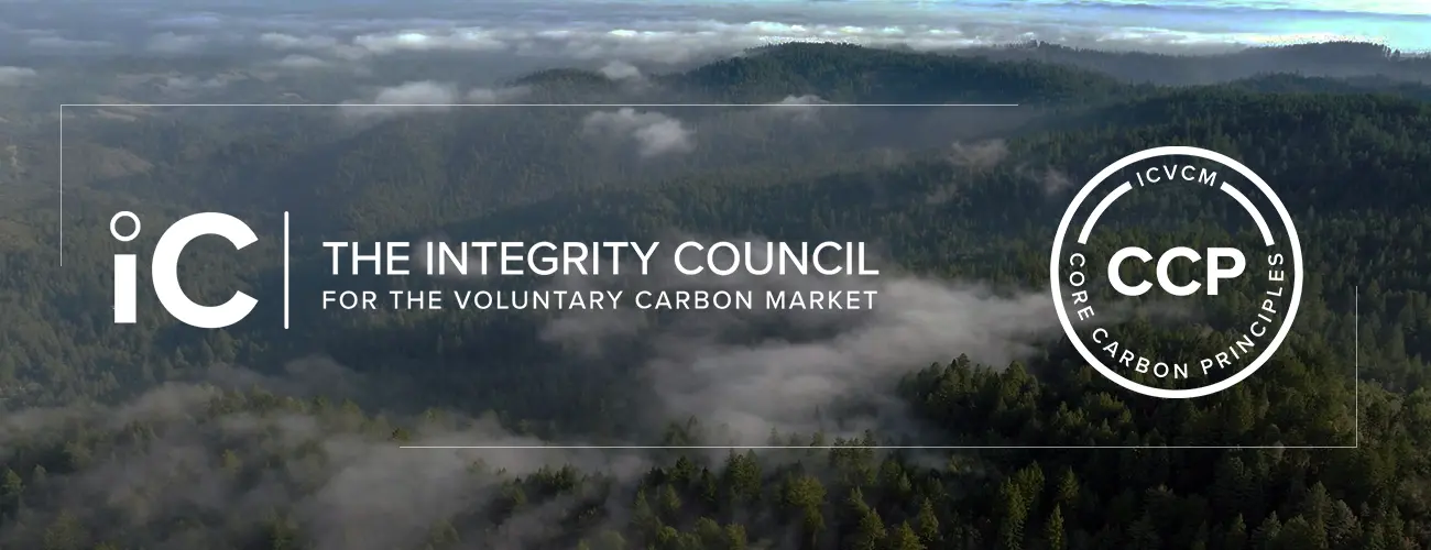 ICVCM & CCP