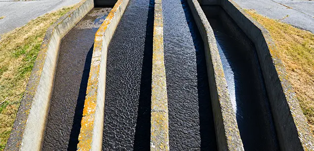 Municipal Sewage Sludge for Biochar Pyrolysis
