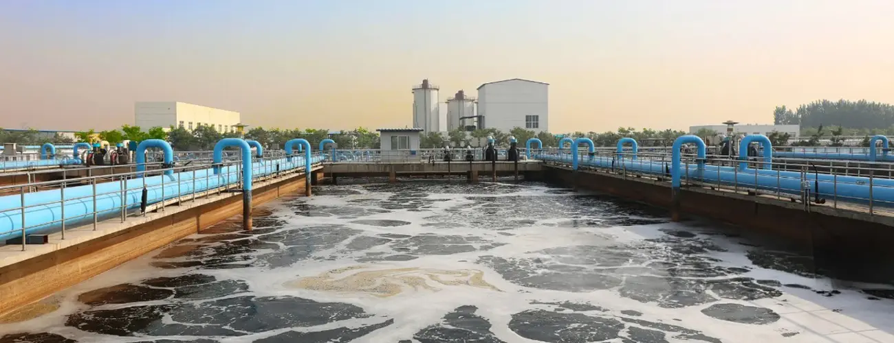 Municipal Sewage Sludge