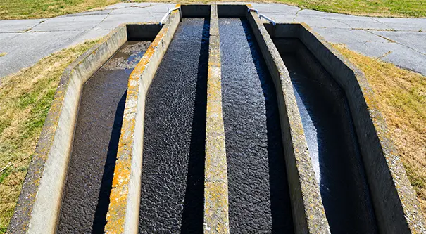Sewage Sludge for Carbonization Treatment