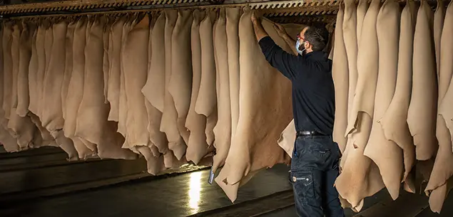 Tannery and Leather Processing
