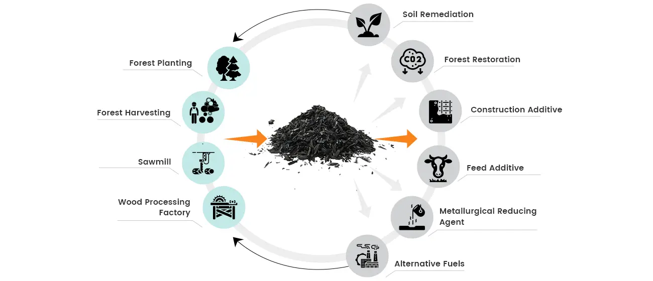Various-Applications-of-Wood-Charcoal