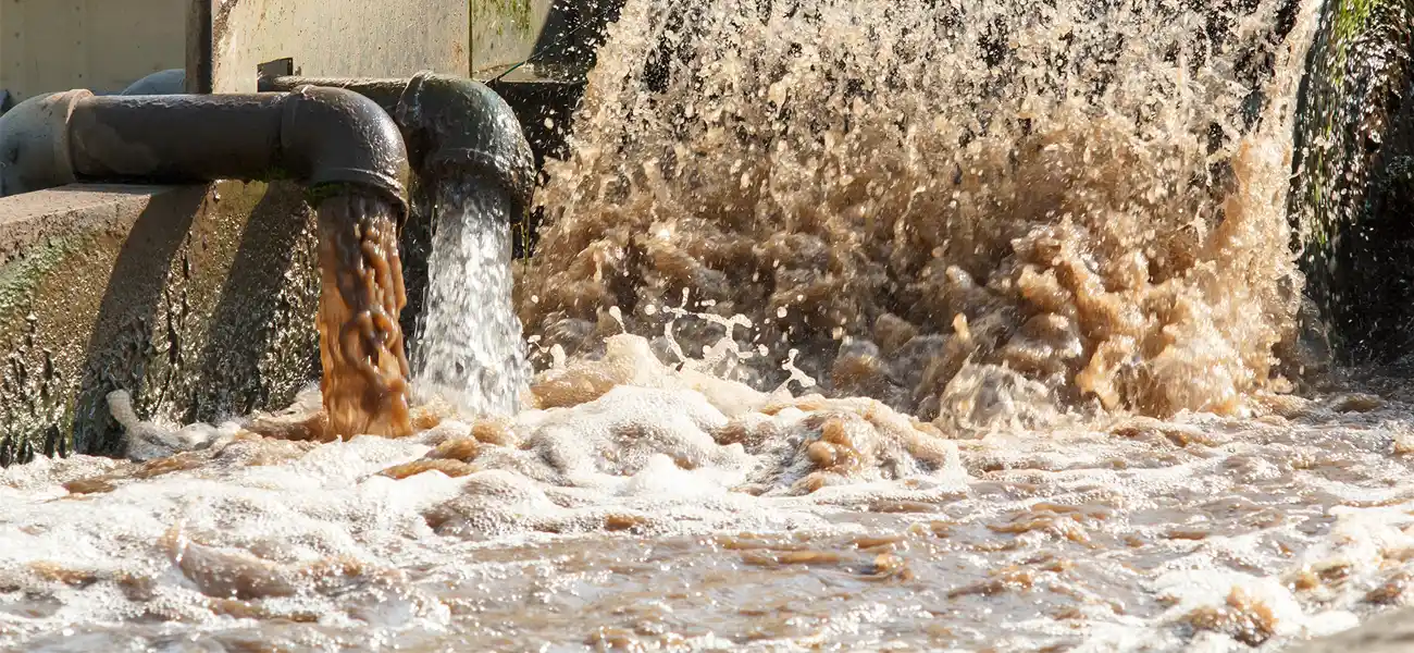 Municipal wastewater discharge carrying heavy metals and PFAS into sewage sludge