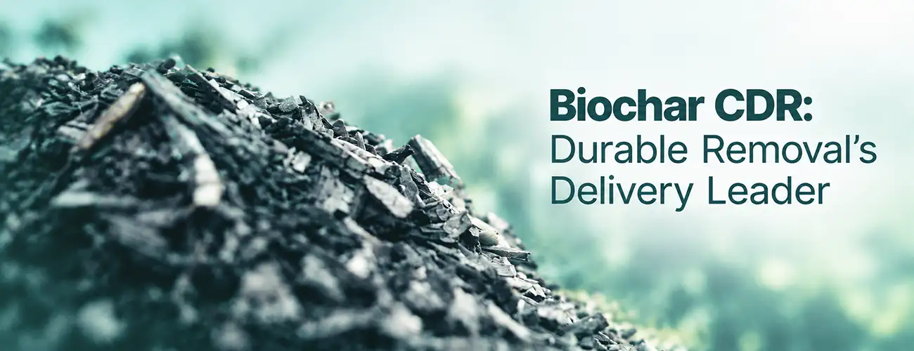 Biochar CDR Durable Removal Delivery Leader