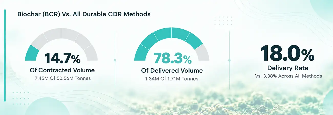 Biochar Leads in Carbon Removal Deliveries